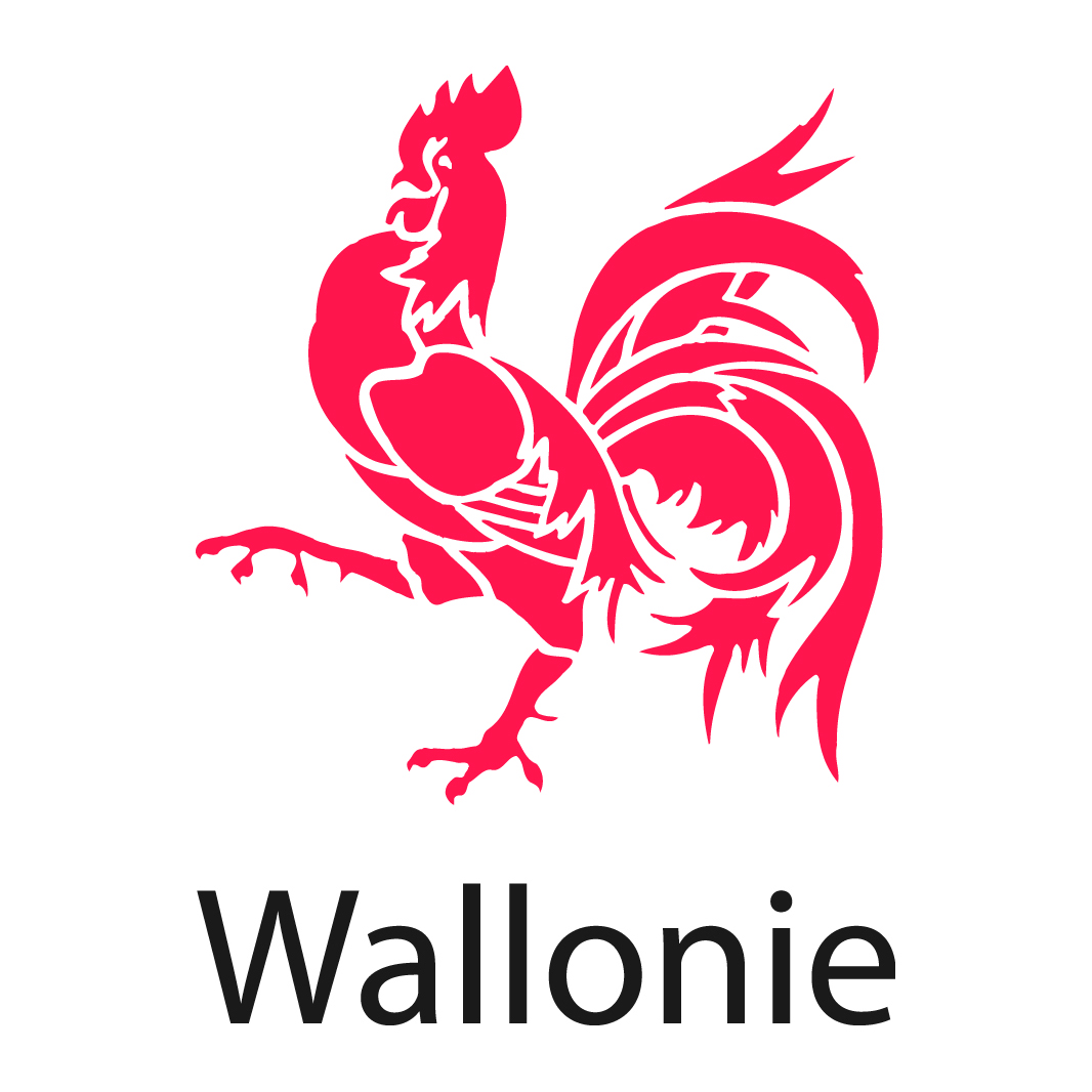 Gouvernement Wallon